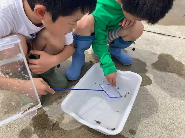 [Spring/Summer 2024/Fukunone] Sightseeing programs you can experience in Fukui Prefecture ~ Area around JR Fukui Station ⑤ ~