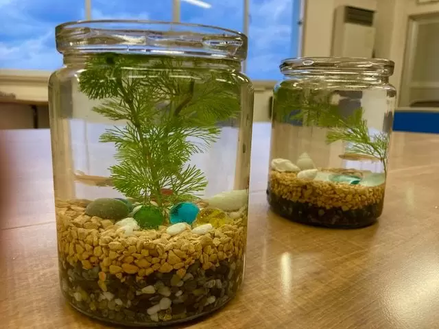 [Spring/Summer 2024/Fukunone] Sightseeing programs you can experience in Fukui Prefecture ~ Area around JR Fukui Station ⑤ ~