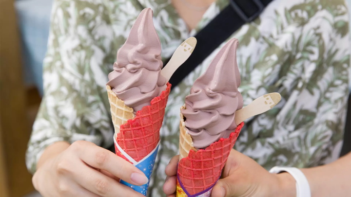 토노시의 카파 전설을 둘러싼 여행 : 카파 후치와 주변의 매력 명소 철저 가이드