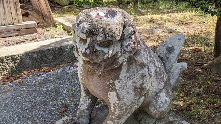 토노시의 카파 전설을 둘러싼 여행 : 카파 후치와 주변의 매력 명소 철저 가이드