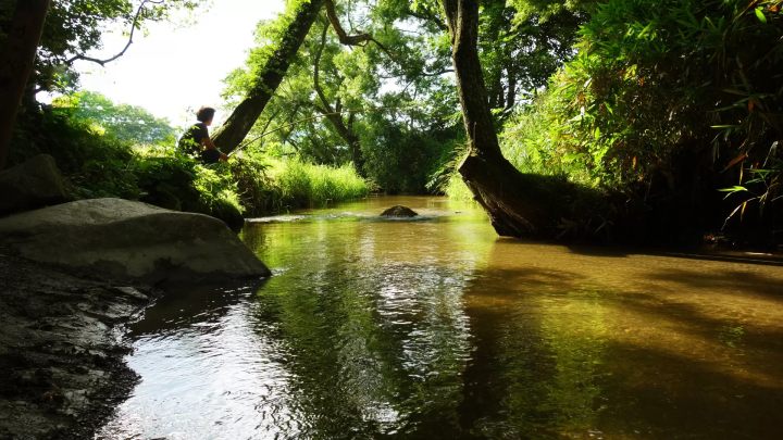 토노시의 카파 전설을 둘러싼 여행 : 카파 후치와 주변의 매력 명소 철저 가이드