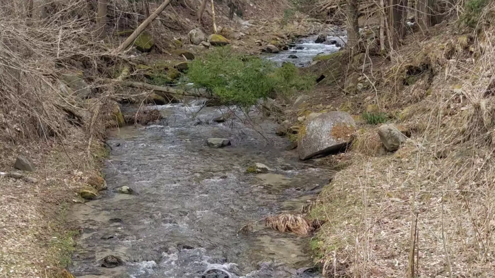 토노시의 카파 전설을 둘러싼 여행 : 카파 후치와 주변의 매력 명소 철저 가이드