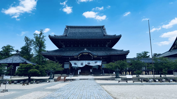 Takada Honzan Senshu-ji Temple ~Lotus~