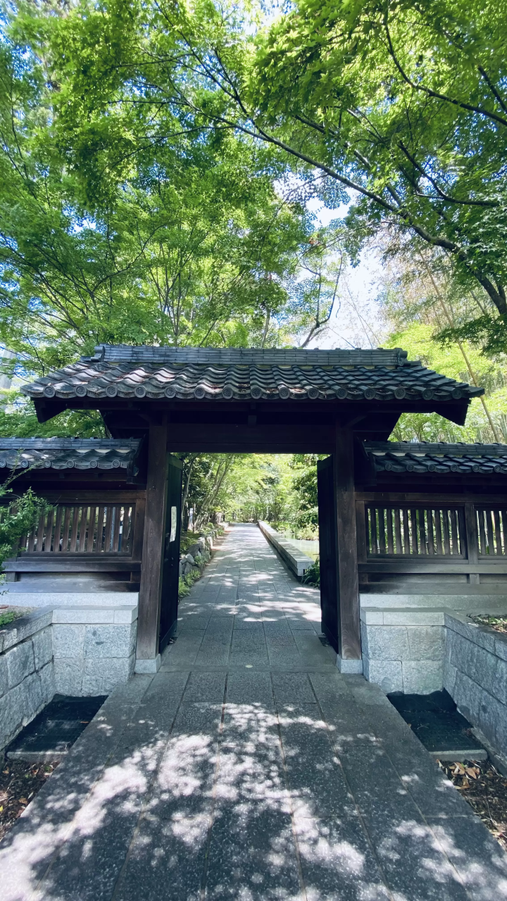 Takada Honzan Senshu-ji Temple ~Lotus~