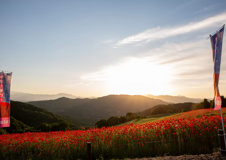 ©Mochida Photography Office 