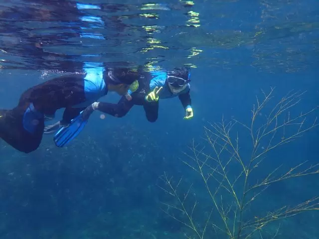 [ฤดูใบไม้ผลิ/ฤดูร้อน 2024/ฟุคุโนเนะ] โปรแกรมท่องเที่ยวที่คุณสามารถสัมผัสได้ในจังหวัดฟุกุอิ ~ บริเวณรอบสถานี JR Echizen Takefu ② ~