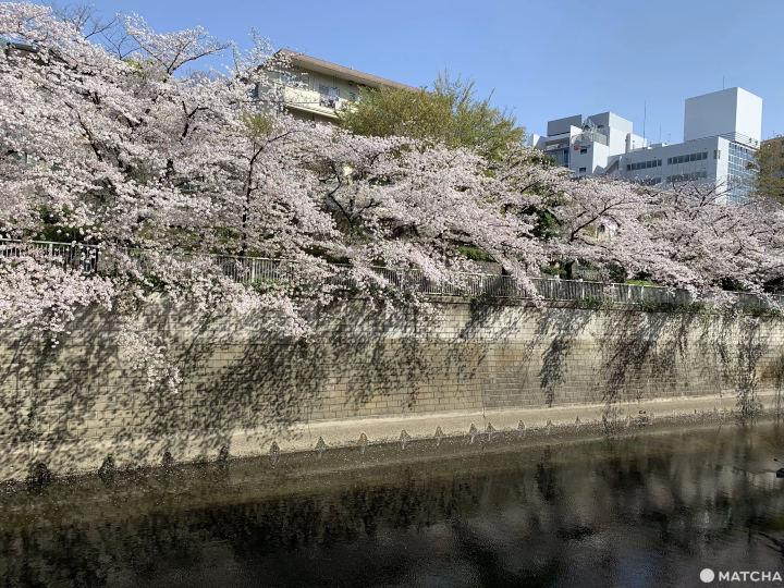 【東京月租套房】住在東京不是夢！推薦「best-estate.jp」多語言租屋平台短期租屋
