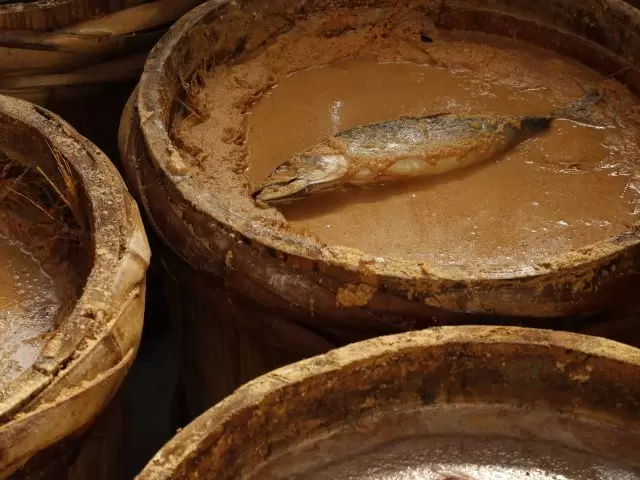 [ฤดูใบไม้ผลิ/ฤดูร้อน 2024/ฟุกุโนะ] โปรแกรมท่องเที่ยวที่คุณสามารถสัมผัสได้ในจังหวัดฟุกุอิ ~ บริเวณสถานี JR Tsuruga ② ~