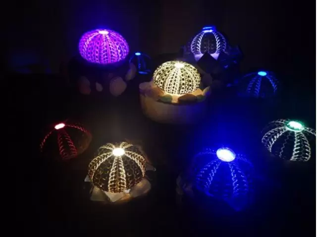 [ฤดูใบไม้ผลิ/ฤดูร้อน 2024/ฟุกุโนะ] โปรแกรมท่องเที่ยวที่คุณสามารถสัมผัสได้ในจังหวัดฟุกุอิ ~ บริเวณสถานี JR Tsuruga ② ~