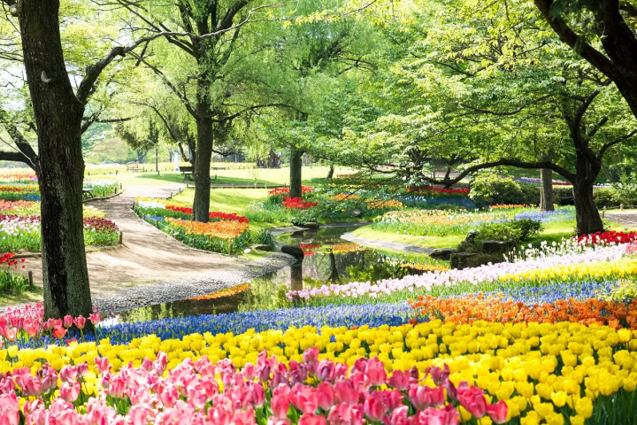 Relish Nature in Tokyo! 5 Gardens and Public Parks