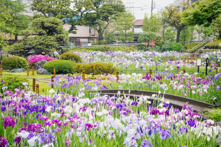 Relish Nature in Tokyo! 5 Gardens and Public Parks