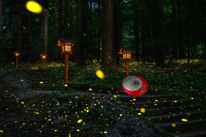 【2024最新】日本の「梅雨」の期間とは？梅雨入り・梅雨明けの時期を地方別に解説！