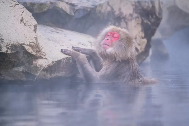 Explore Nagano: 10 Exciting Tours in Matsumoto, Kamikochi, and More