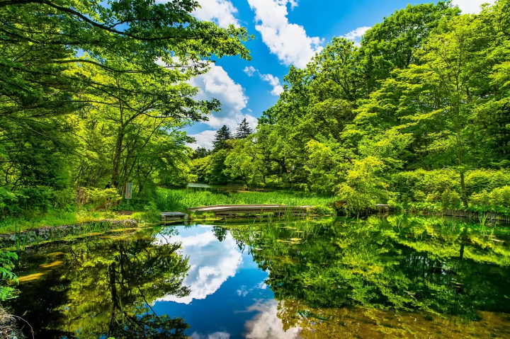 Explore Nagano: 10 Exciting Tours in Matsumoto, Kamikochi, and More