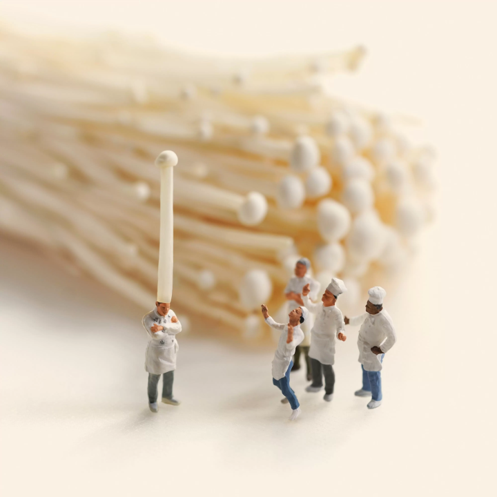 田中達也日本橋高島屋開展，160件療癒微型作品全都可拍照紀念！