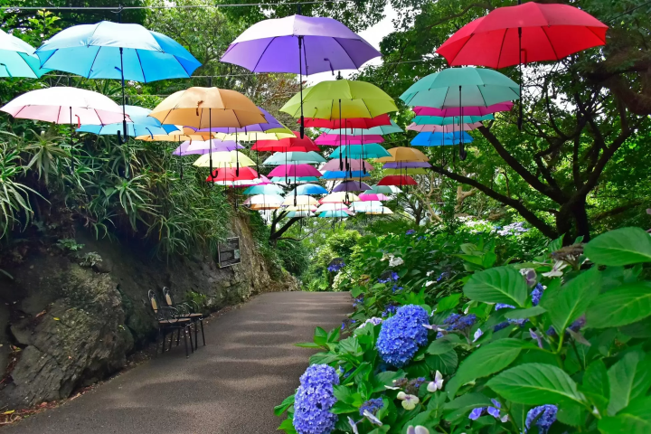 Umbrella Sky Events Near Tokyo: 4 Enchanting Installations