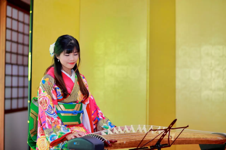 The Heart Beat of Japan, Japanese Traditional Instruments, Their Features and Fun Workshops