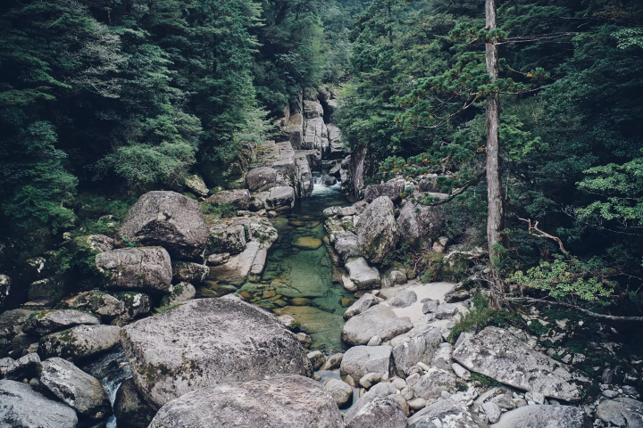 「samana hotel 屋久島」是一家可以與世界自然遺產屋久島融為一體的絕美風景度假酒店。