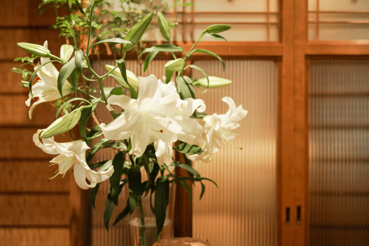 【도쿄 아카사카】 교토 여관과 같은 공간과 일본 독자적인 정체 & 마사지 "하나리"