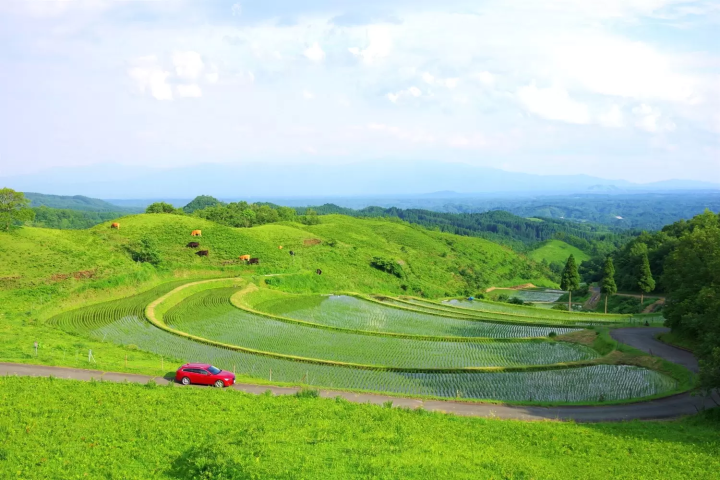 熊本レンタカー