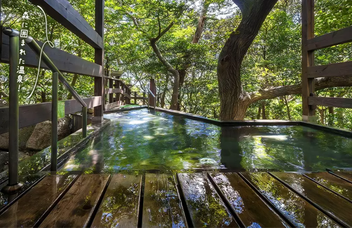 我很高興你住在“太郎之日”，我也會享受溫泉旅館，爸爸和媽媽看起來也會玩得很開心。