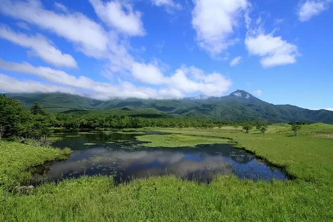 Summer Tours to Beat the Heat in Hokkaido