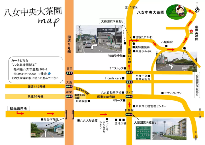 【Fukuoka Yame】Yame, famous for Yame green tea, one of the best Japanese tea brands ! Go for a drive to Yame Central Tea Plantation, a splendid green tea carpets !