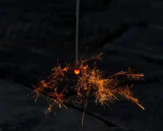 尾道で過ごす、夏。