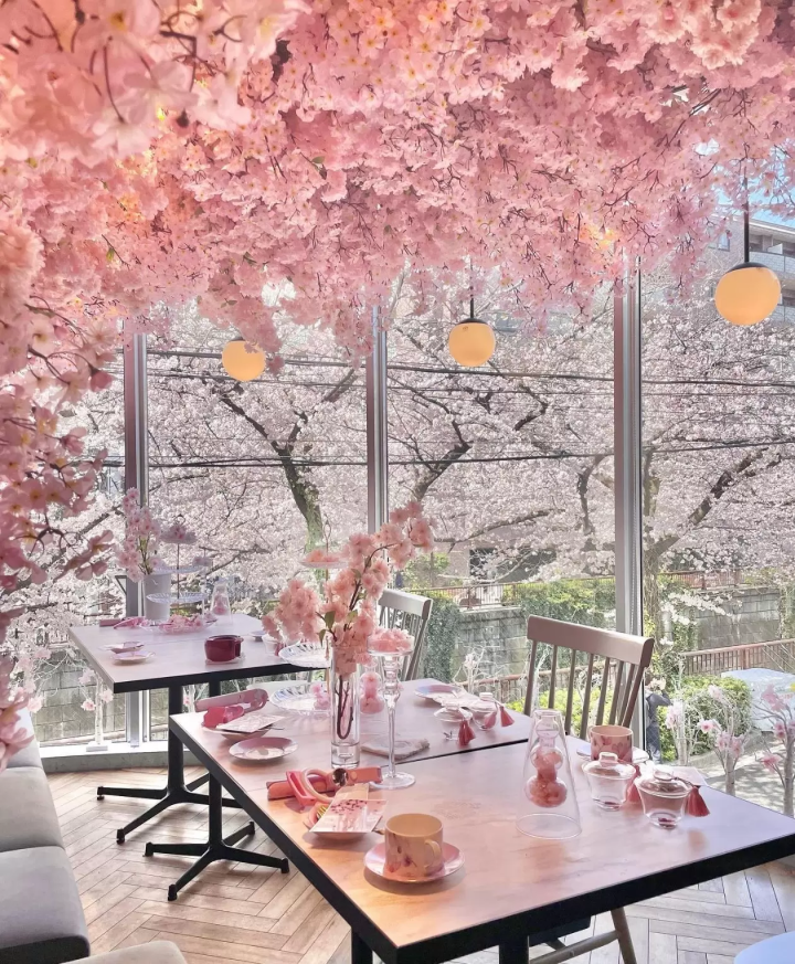 Tokyo's Nakameguro: 5 Charming Coffee Shops and Dessert Spots