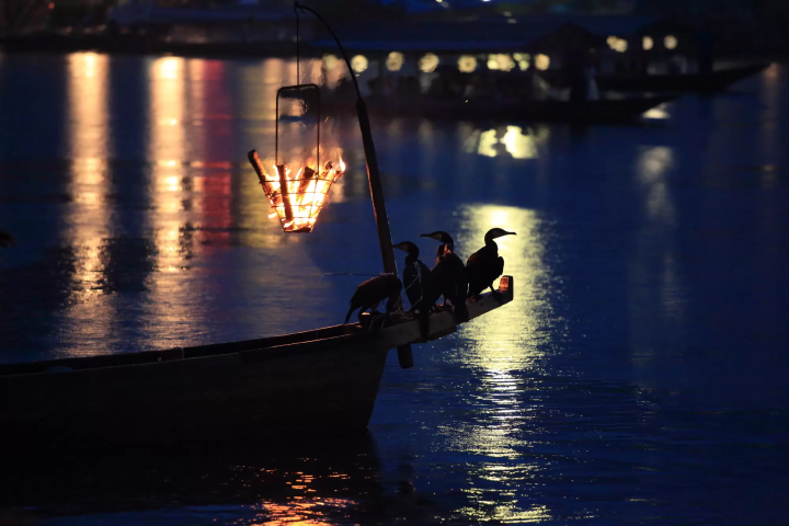 夏の風物詩「鵜飼い」とは？鵜飼いが見られるスポット5選〜期間、料金など〜
