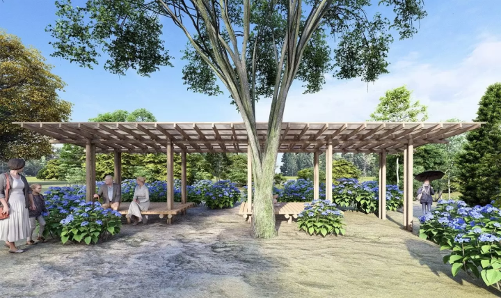 Tokyo's Beautiful Hydrangea Paradise! Explore 13,000 blooms at Minamisawa Hydrangea Mountain!