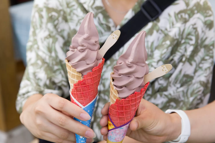 骑自行车游览远野的文化与传说：远野观光自行车示范路线