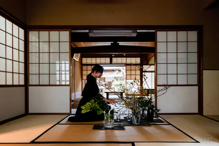 Japanese Tea Ceremony Experiences: 10 Bespoke Insights around Japan