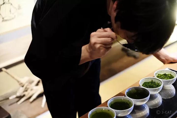 Japanese Tea Ceremony Experiences: 10 Bespoke Insights around Japan