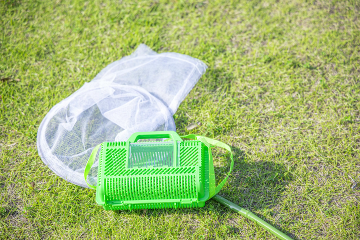 이세로 글램핑! 배드민턴, 모닥불, 수영장, 사우나 등 다양한 활동