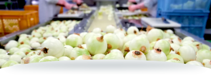 후쿠오카 시민들에게 사랑받는 레스토랑, 피에트로에서 맛있는 파스타와 드레싱을 즐겨보세요!