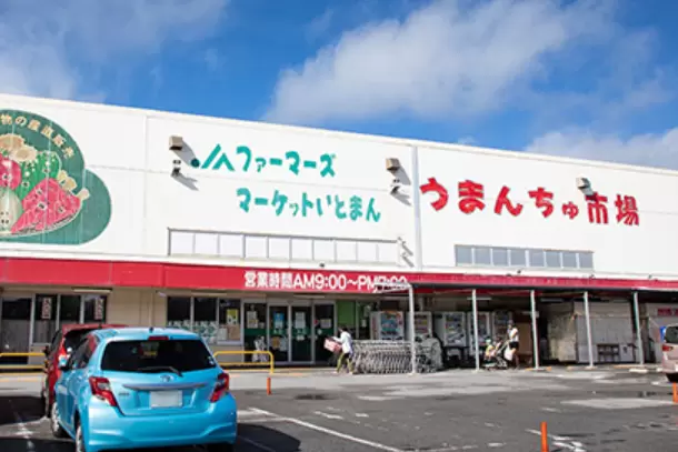 【오키나와 드라이브 코스】 오키나와의 당지 음식을 만끽! 맛있는 것을 먹고 새로 고침!