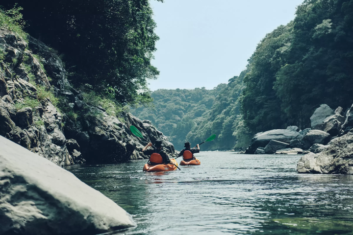 [Yakushima] A trip to the coveted Jomon Cedar. A two nights and three days model plan with delicious food and relaxing hot springs