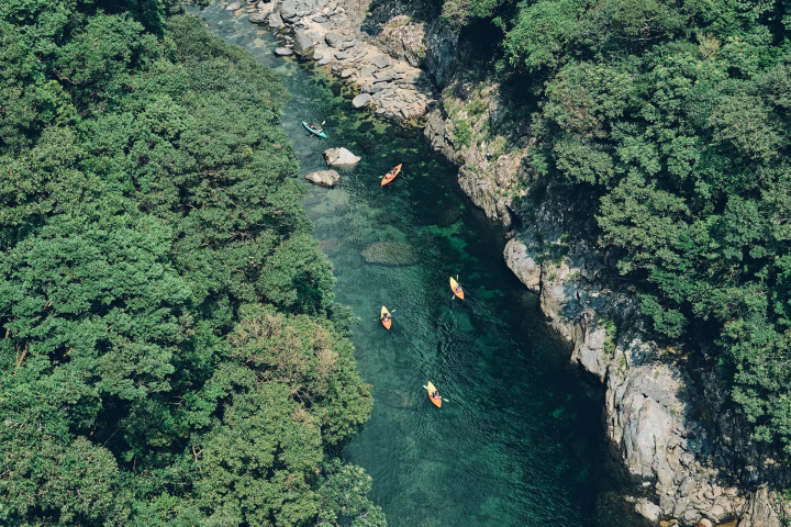 [Yakushima] A trip to the coveted Jomon Cedar. A two nights and three days model plan with delicious food and relaxing hot springs