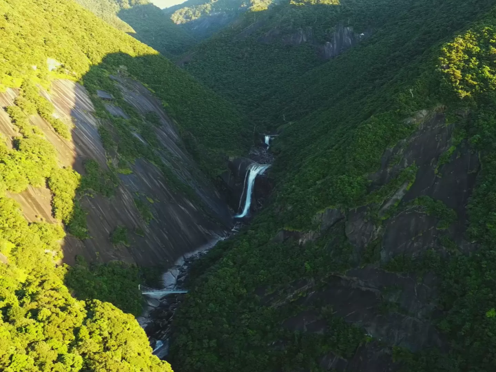 [Yakushima] A trip to the coveted Jomon Cedar. A two nights and three days model plan with delicious food and relaxing hot springs