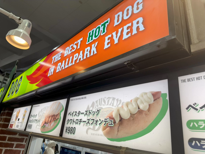 Complete guide to 2025 Japan baseball: game schedules, ticket purchases, and more!