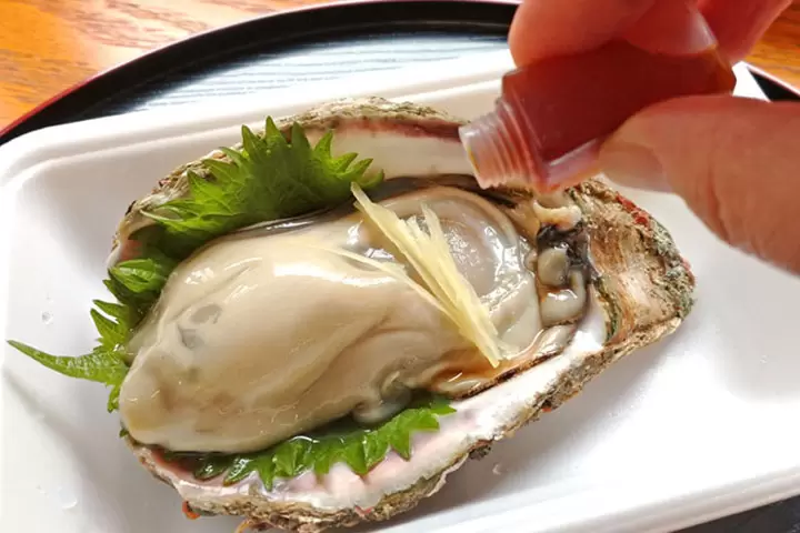 特製醋醬油，配薑絲和紫蘇葉（越後村上魚屋） 