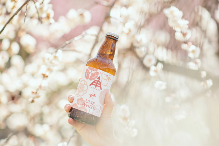 [Inabe City, Mie Prefecture] A scenic spot with the largest plum grove in the Tokai region!