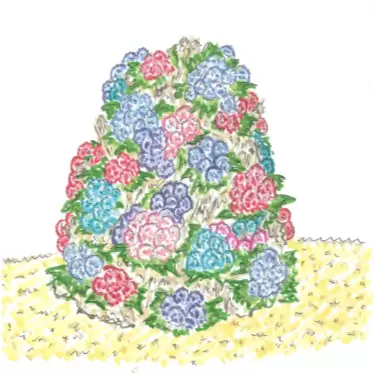 箱根的初夏風物詩!夜間繡球花點燈活動、繡球花展6月開跑