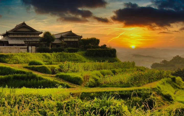 Awaji Island (Awajishima): Your Complete Guide for First-Time Visitors