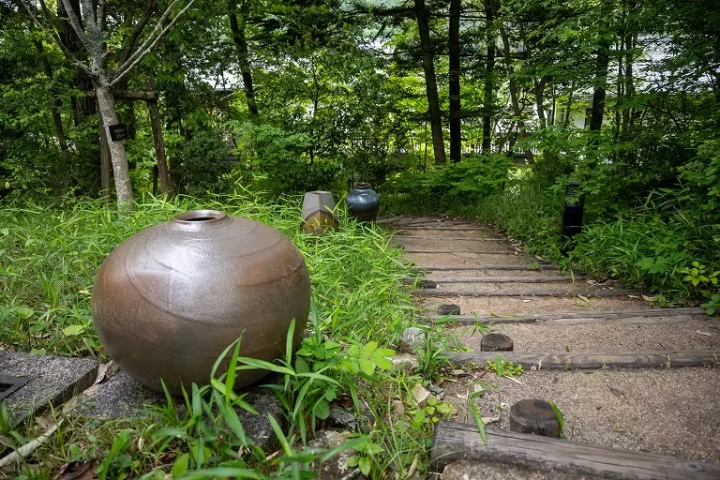 在兵庫陶藝美術館了解丹波燒,看,享受