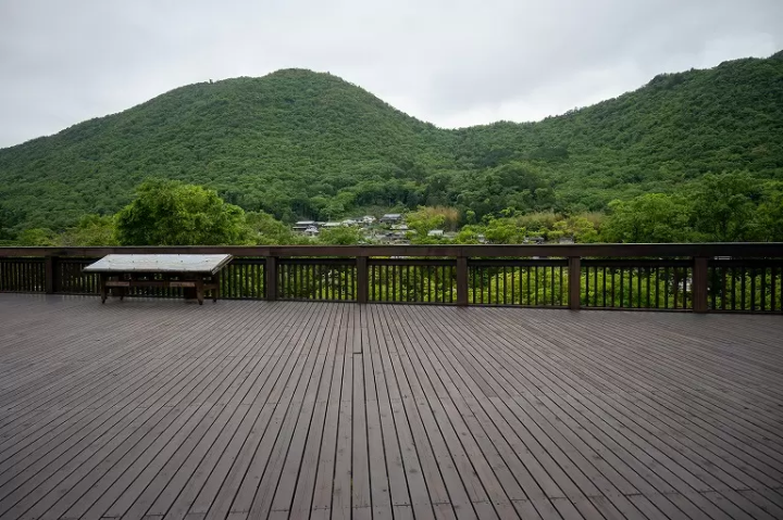 在兵庫陶藝美術館了解丹波燒,看,享受