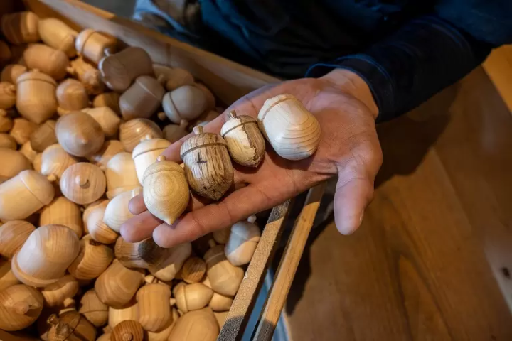 前往與樹木生活的村落丹波篠山。與從林業中誕生的手工相遇之旅