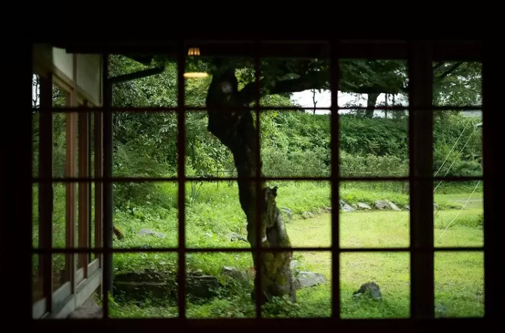 前往與樹木生活的村落丹波篠山。與從林業中誕生的手工相遇之旅