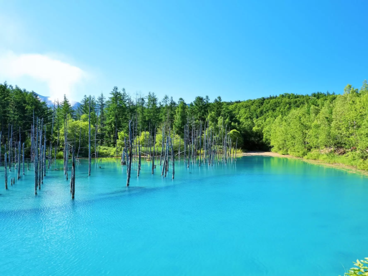 10 Summer Tours to Beat the Heat in Hokkaido